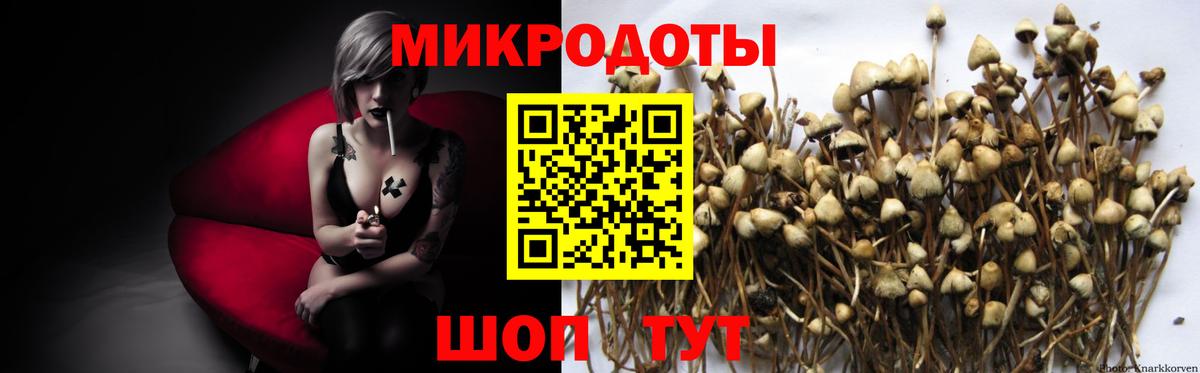 Псилоцибиновые грибы Psilocybe  Вход с VPN  Улан-Удэ  Галлюциногенные грибы прущие грибы 